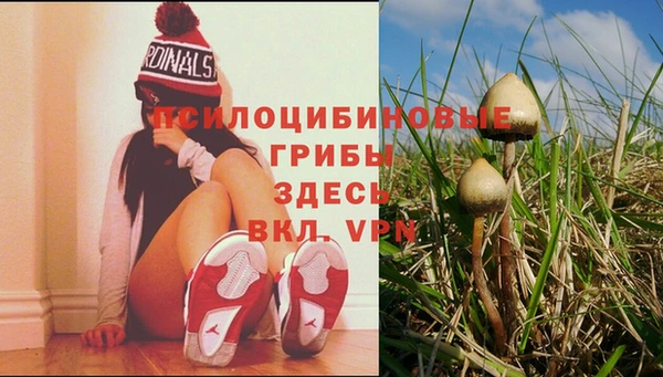 соль курить ск Вязники