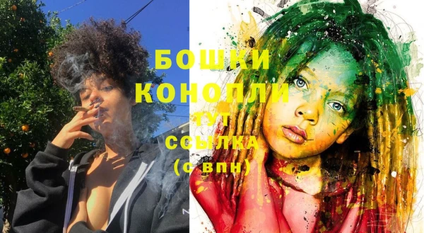 ECSTASY Вязьма