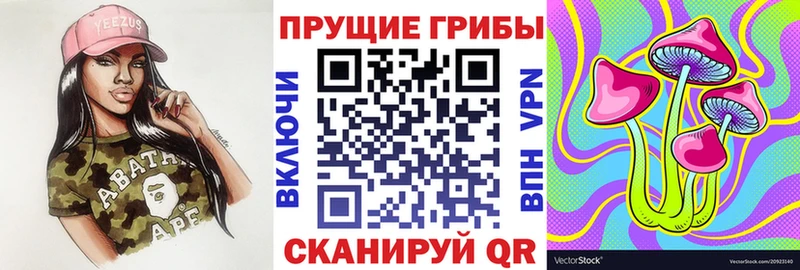 Галлюциногенные грибы MAGIC MUSHROOMS  даркнет сайт  Пласт 