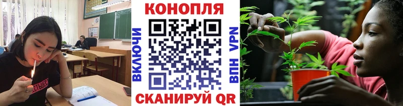 Каннабис сатива  купить наркотики сайты  Пласт 